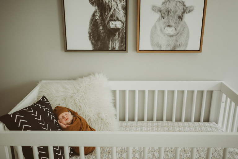 Lifestyle newborn Session